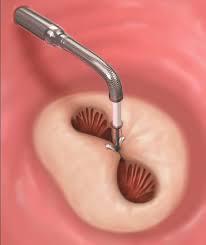 Ноябрь 2025 г.